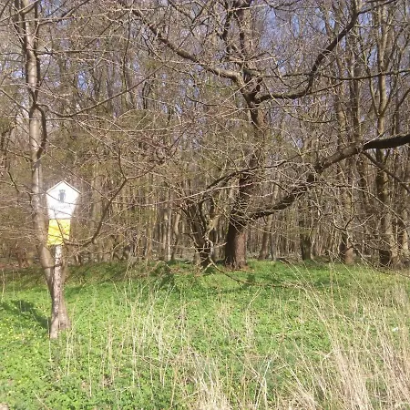 Nr. 9 Chalet Brandshagen