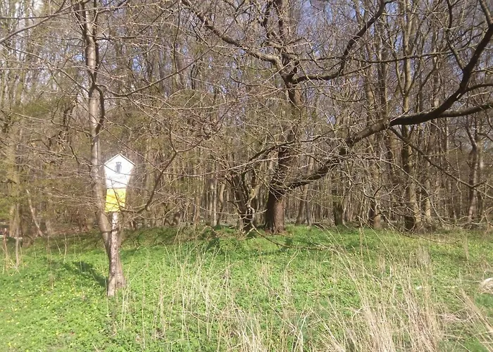 Nr. 9 Chalet Brandshagen